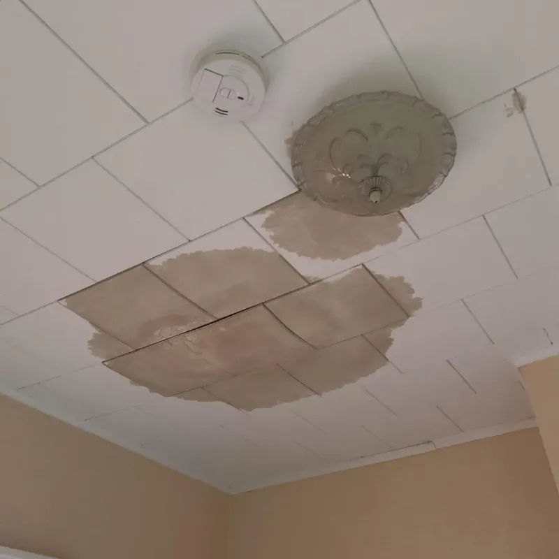Ceiling Water Damage Repair in Churchville, PA